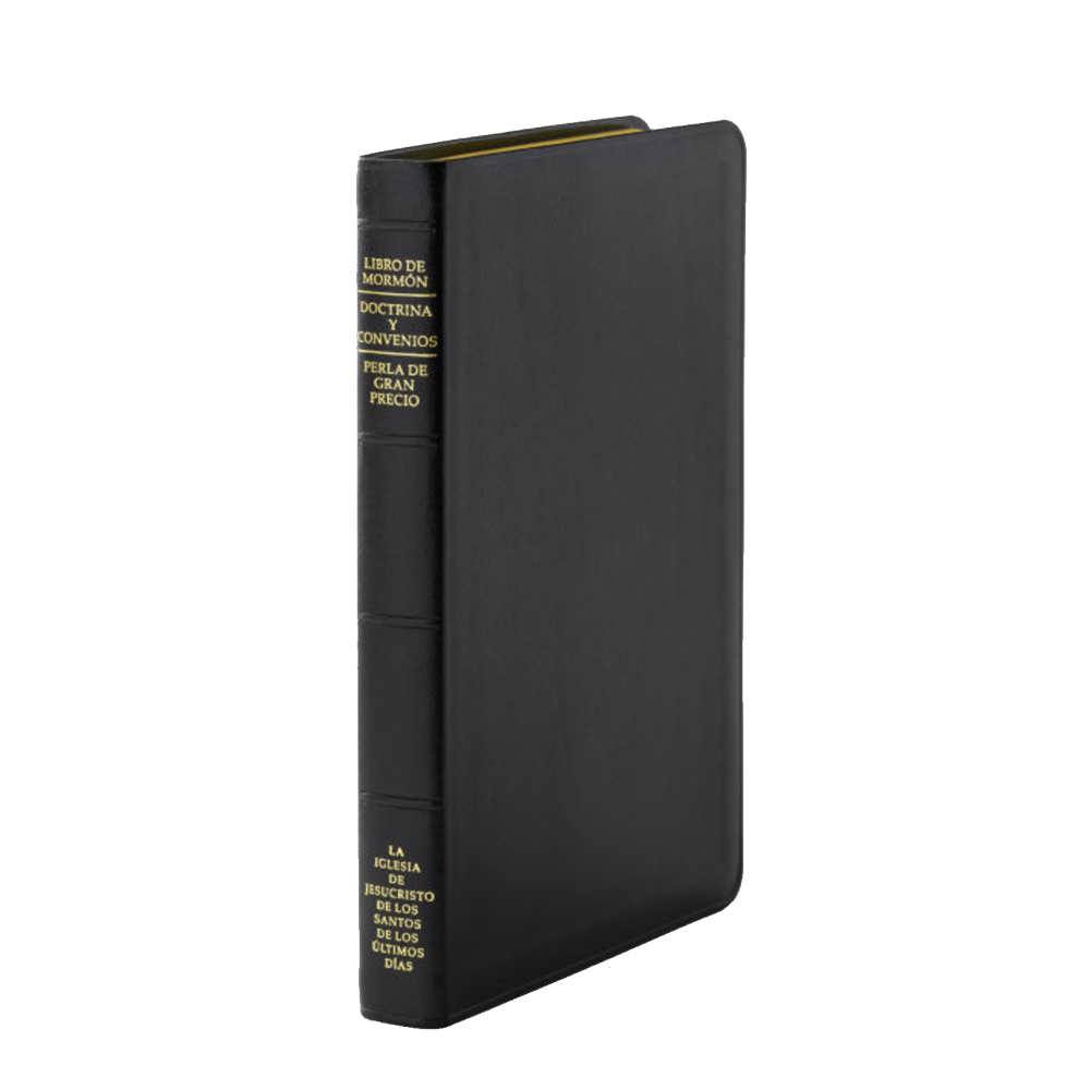 Spanish Triple Combination, Genuine Leather, Regular, Indexed, , large