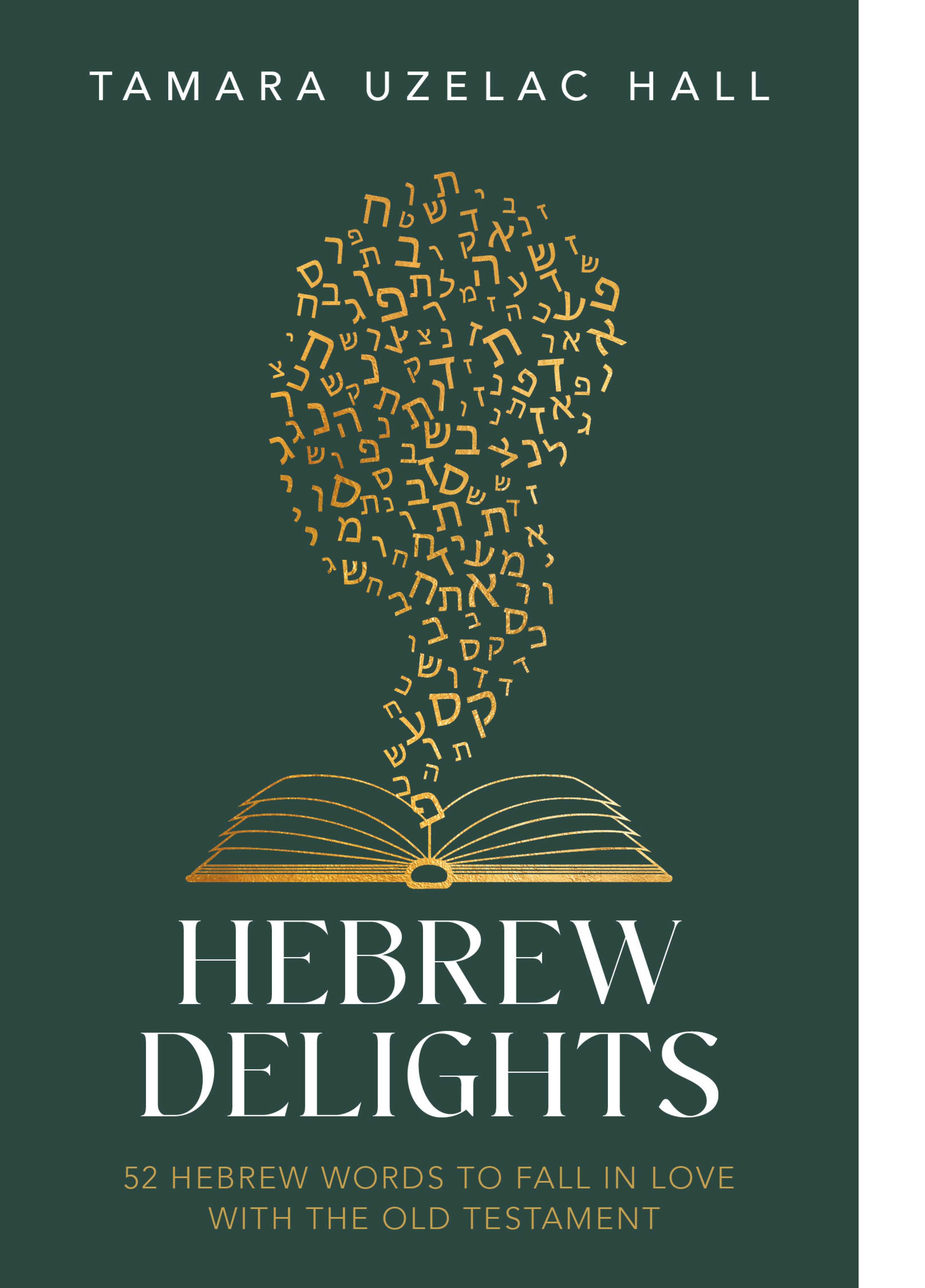 Hebrew Delights, , large image number 0
