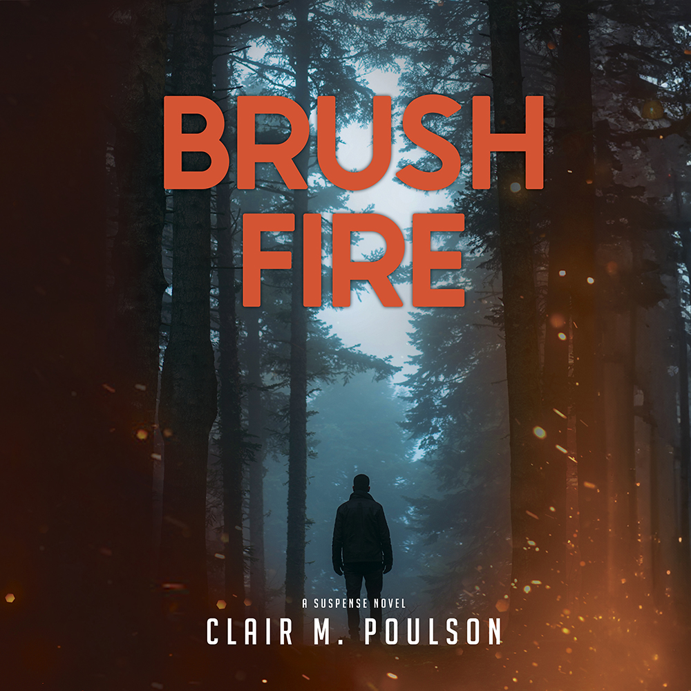 Brush Fire, , large