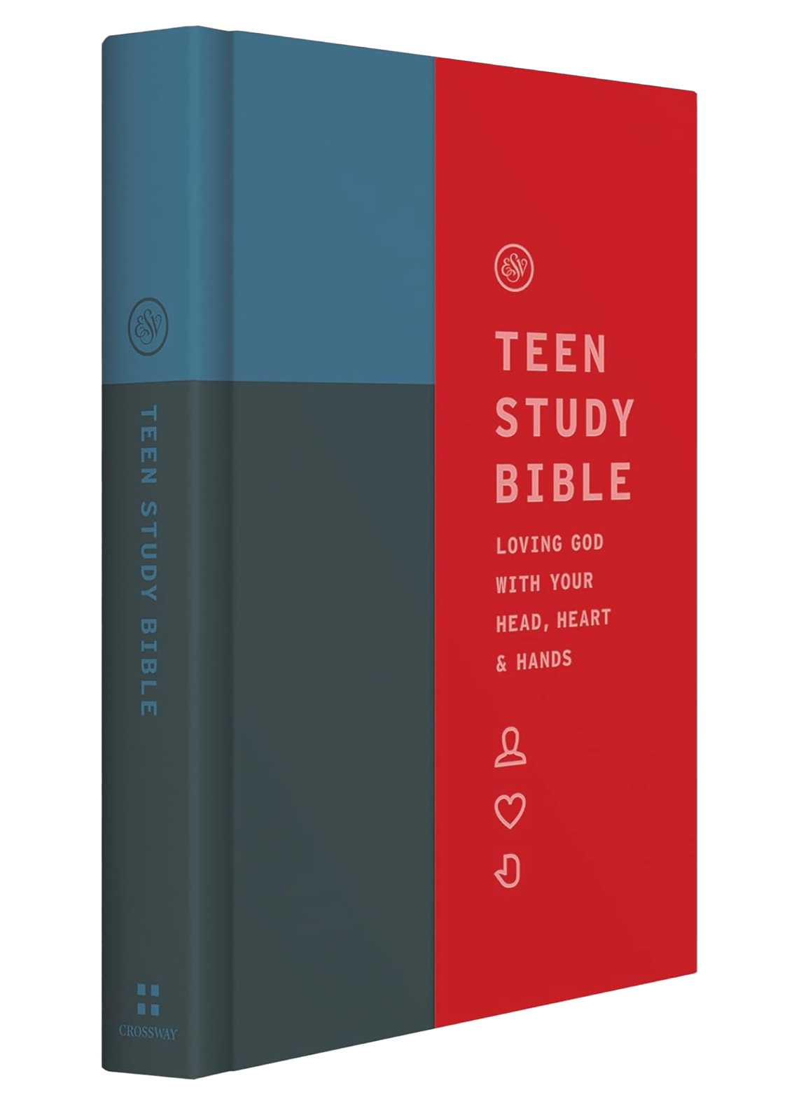 ESV Teen Study Bible