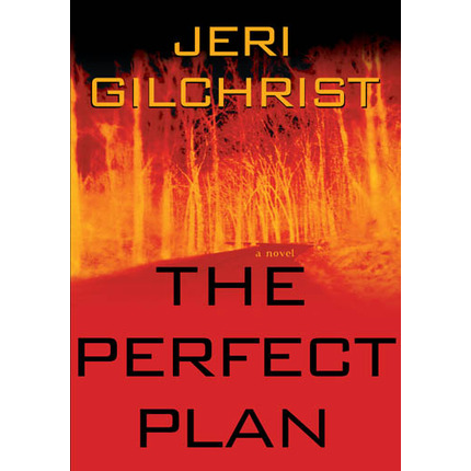 The Perfect Plan