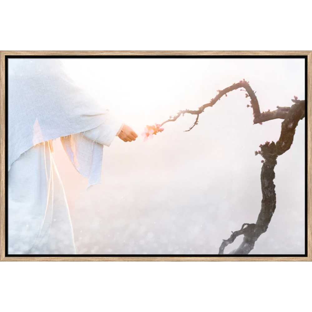 Reborn (21x31 Framed Art), , large image number 0