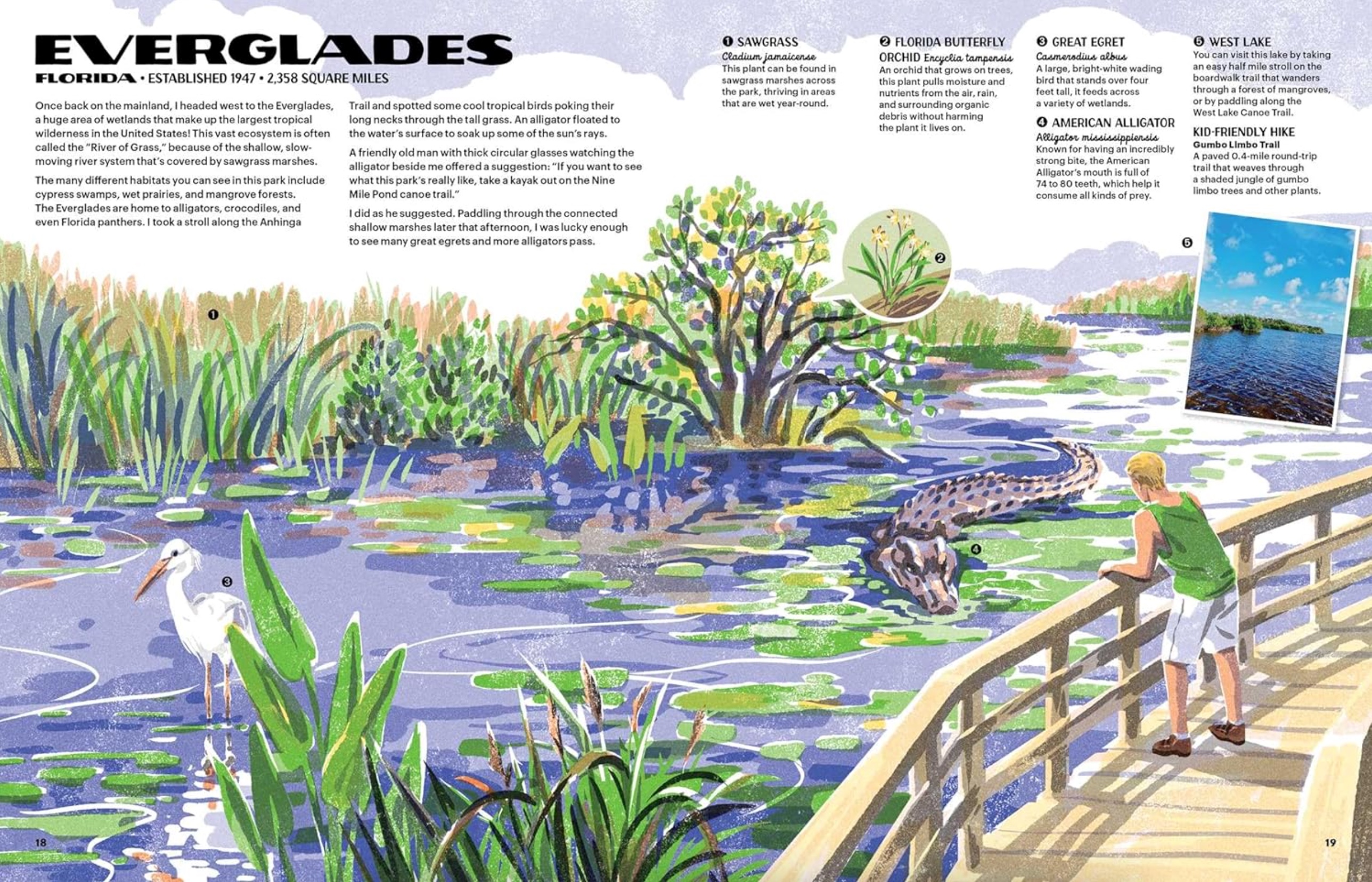 The Nature of Our National Parks, , large image number 2