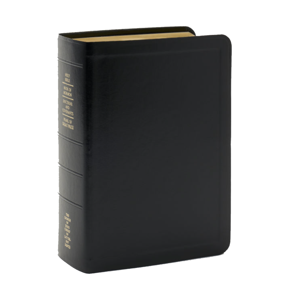 Quad Combination Simulated Leather, Regular, Indexed Black, , large image number 0