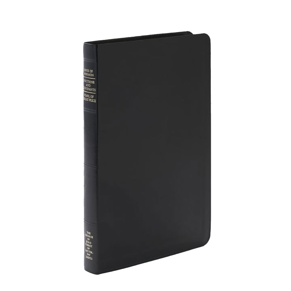Triple Combination Simulated Leather, Large Indexed, Black