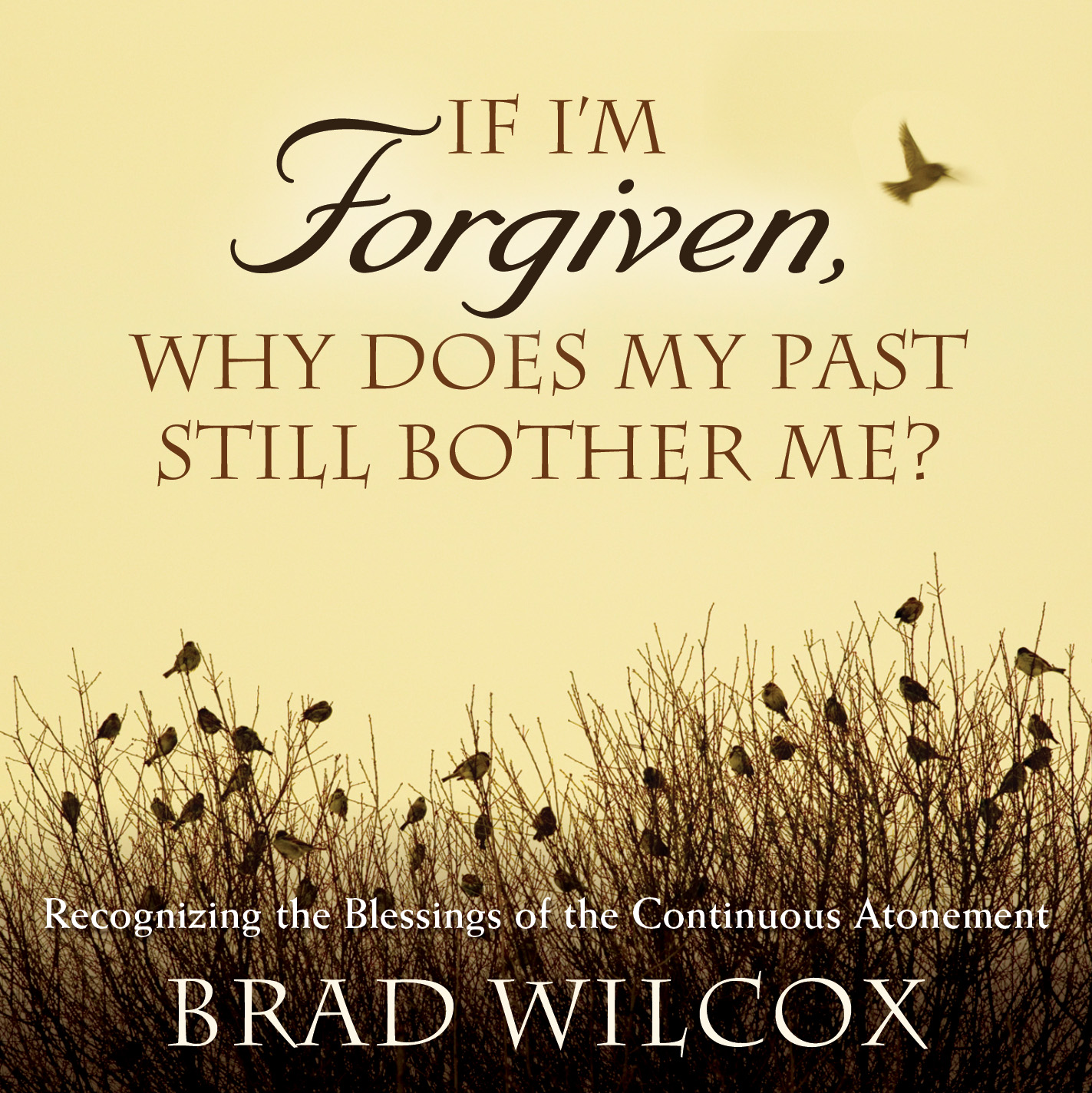 If I'm Forgiven, Why Does My Past Still Bother Me?