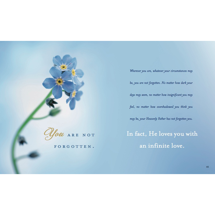 Forget Me Not, , large