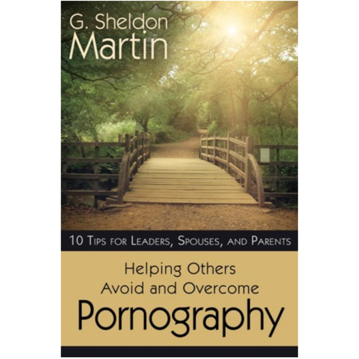Helping Others Avoid and Overcome Pornography