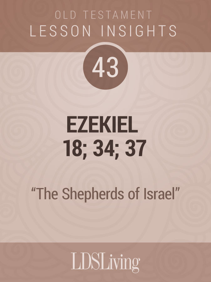 Lesson Insights Old Testament #43