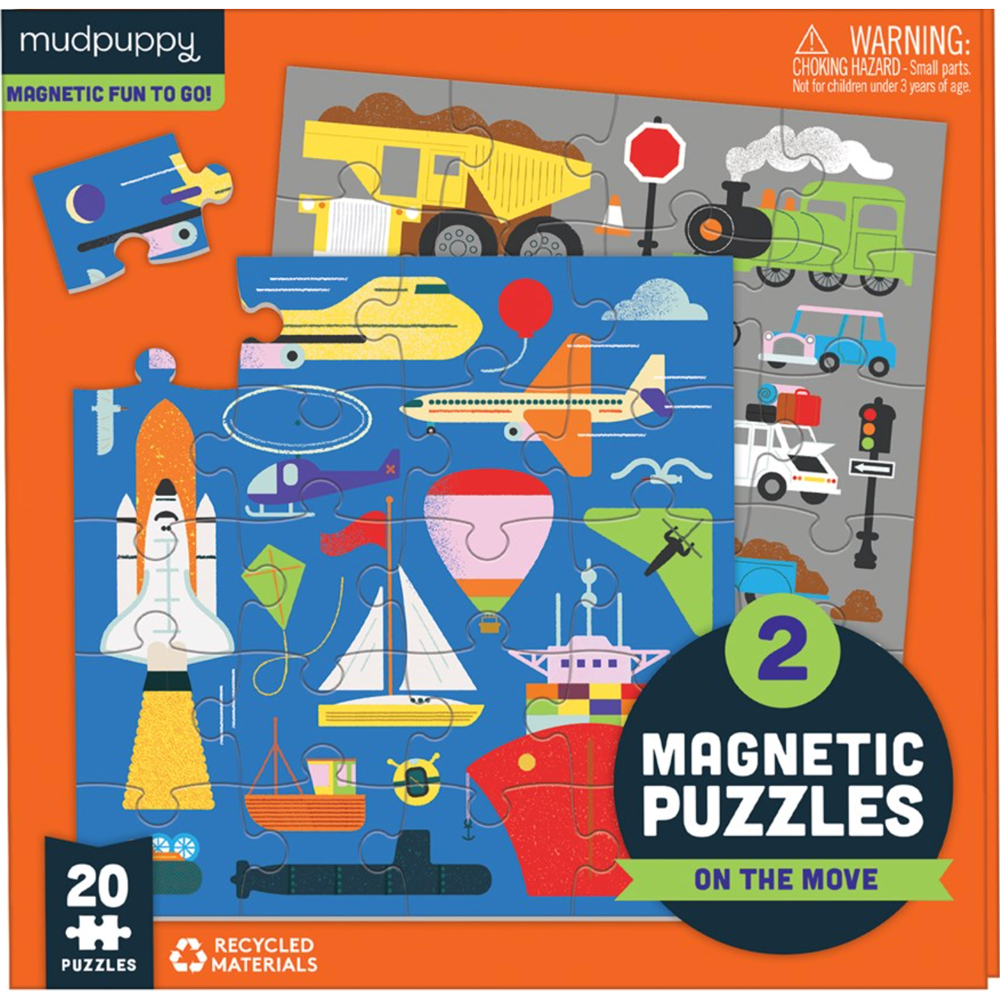 On the Move Magnetic Puzzles