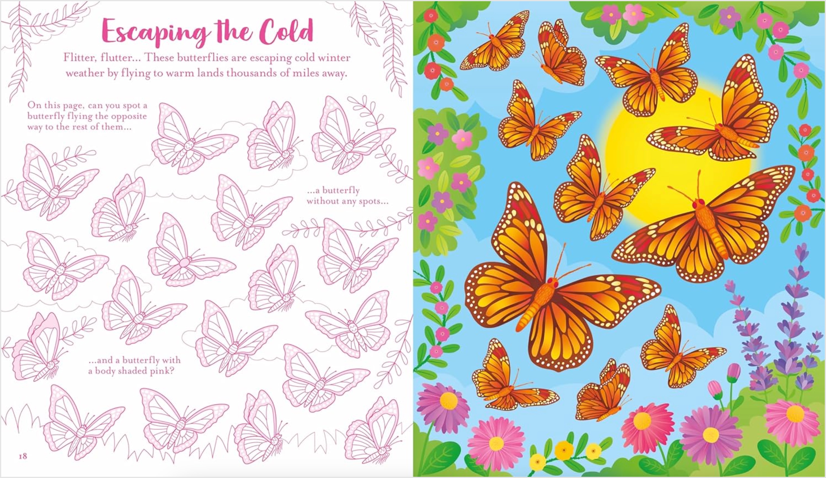 Usborne Scratch Activities Butterflies, , large