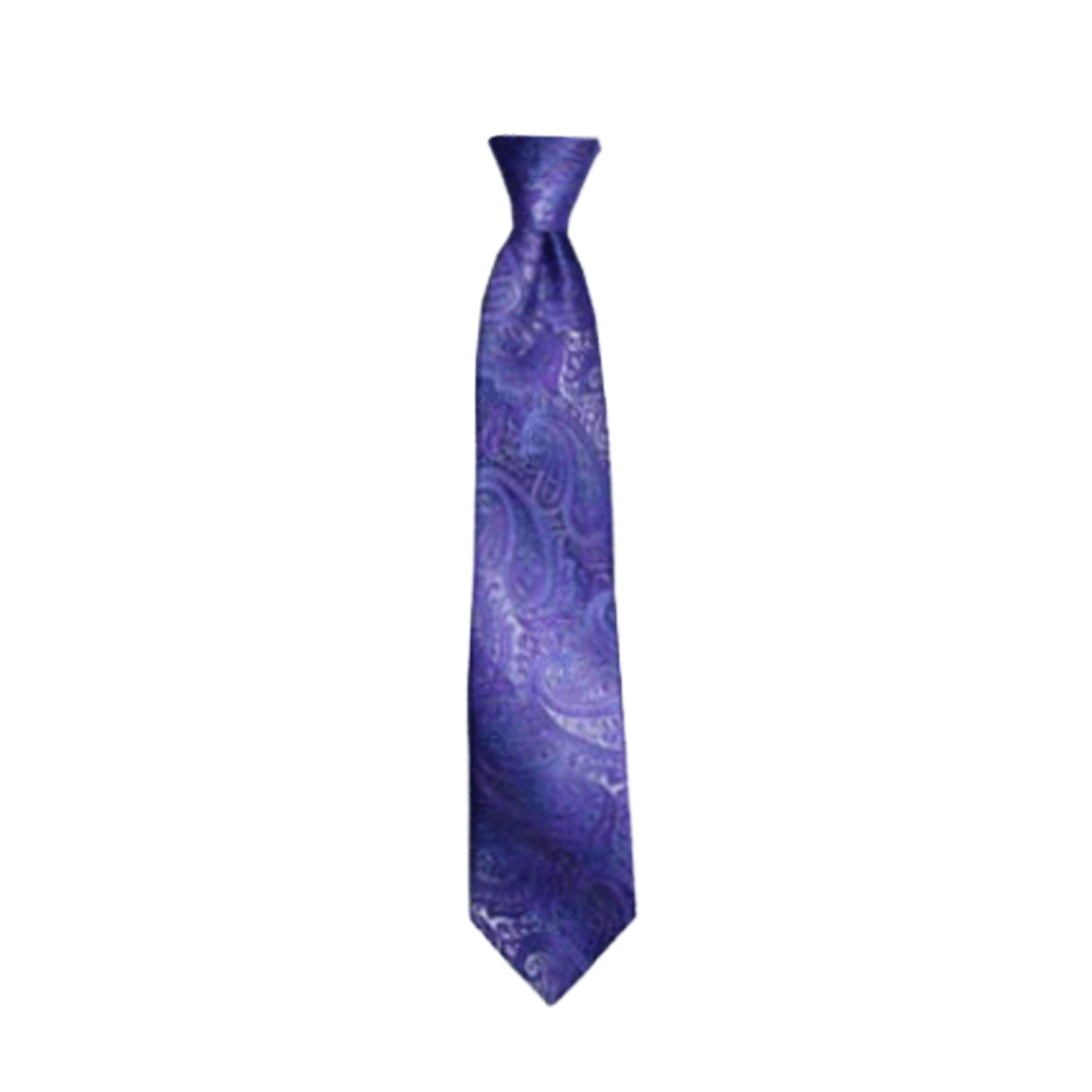 Boys' Lilac Paisley Zipper Necktie