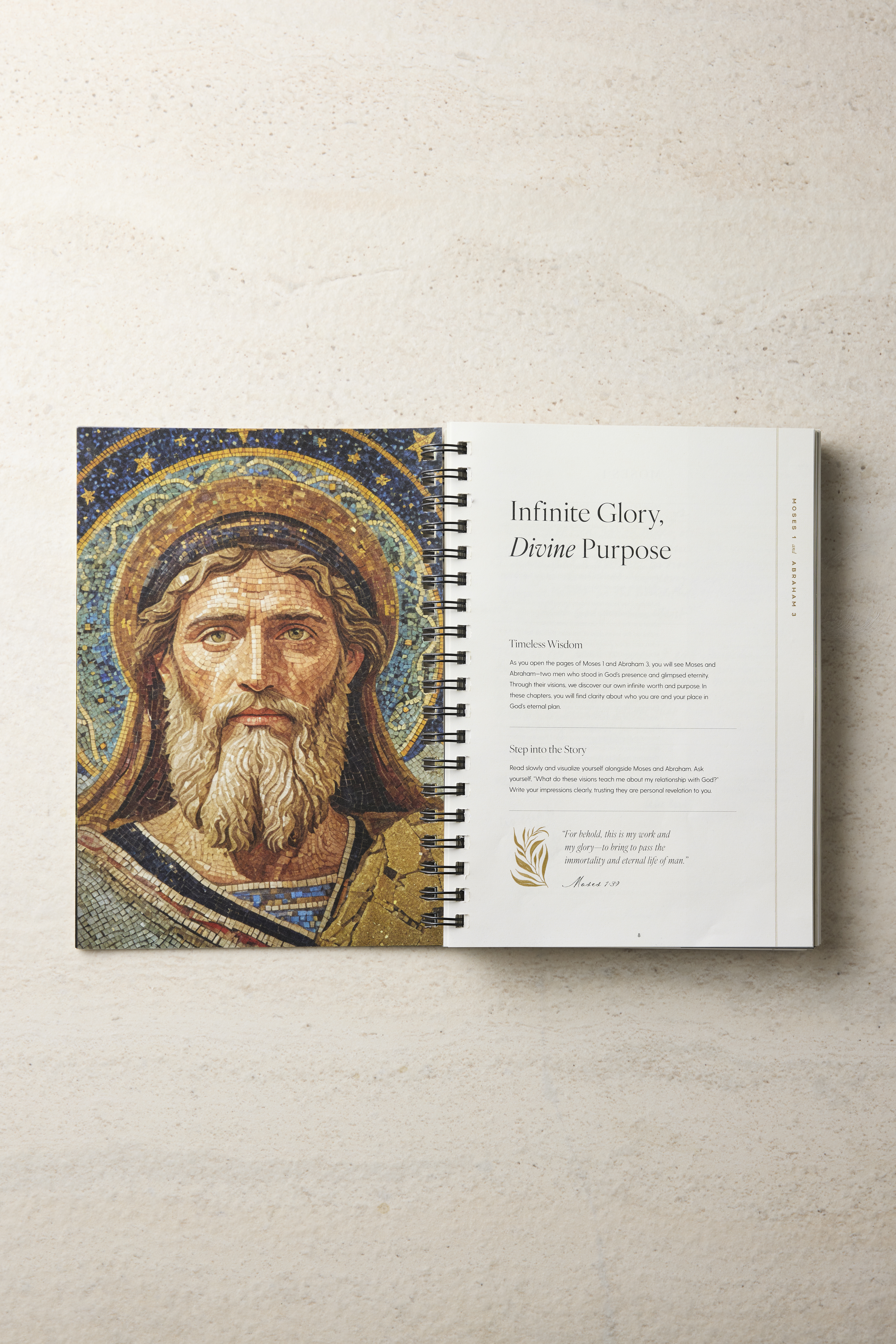 Seek: A Guided Journey Through the Old Testament, , large image number 6