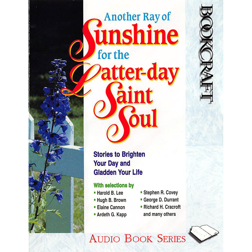 Another Ray of Sunshine for the Latter-day Saint Soul, , large image number 0