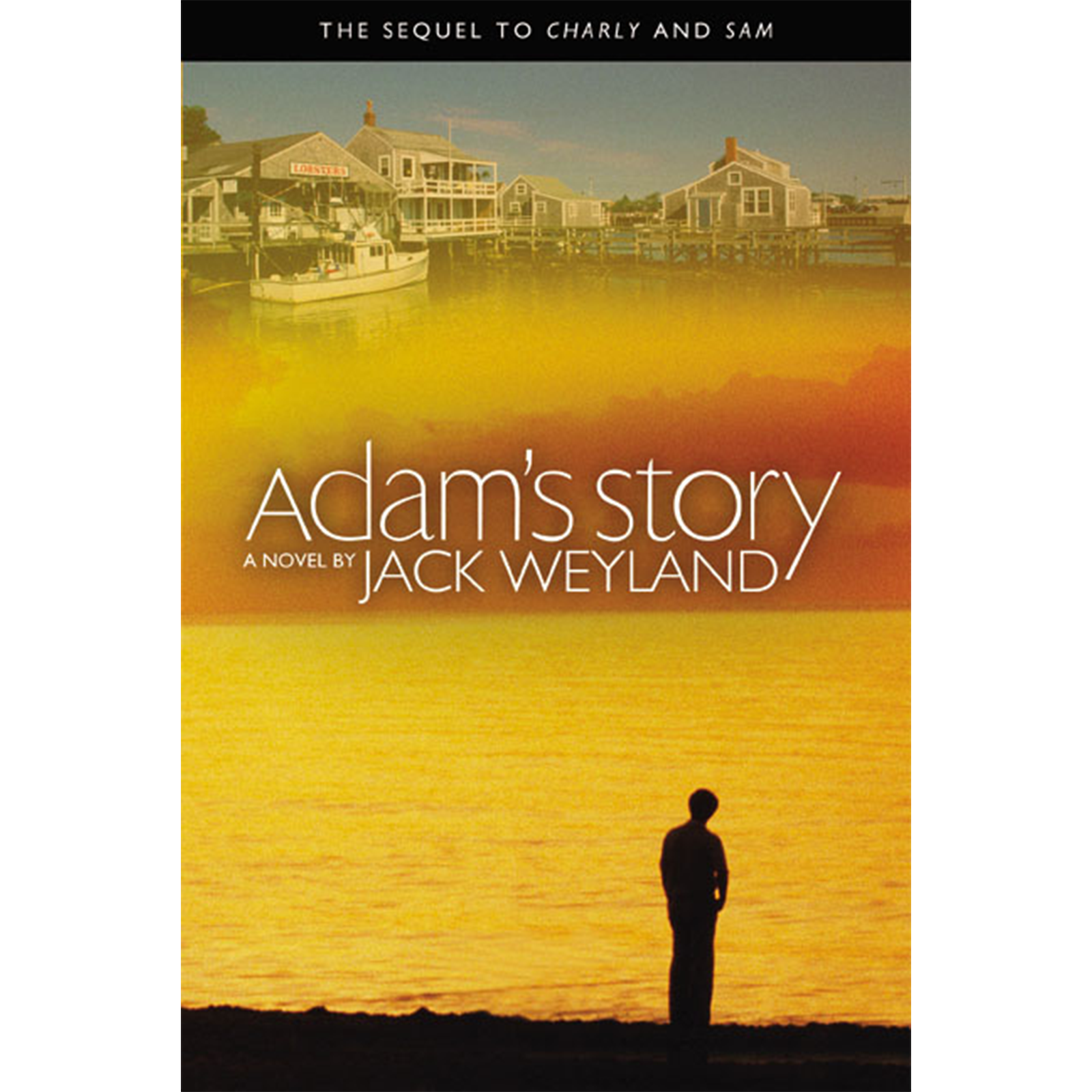 Adam's Story