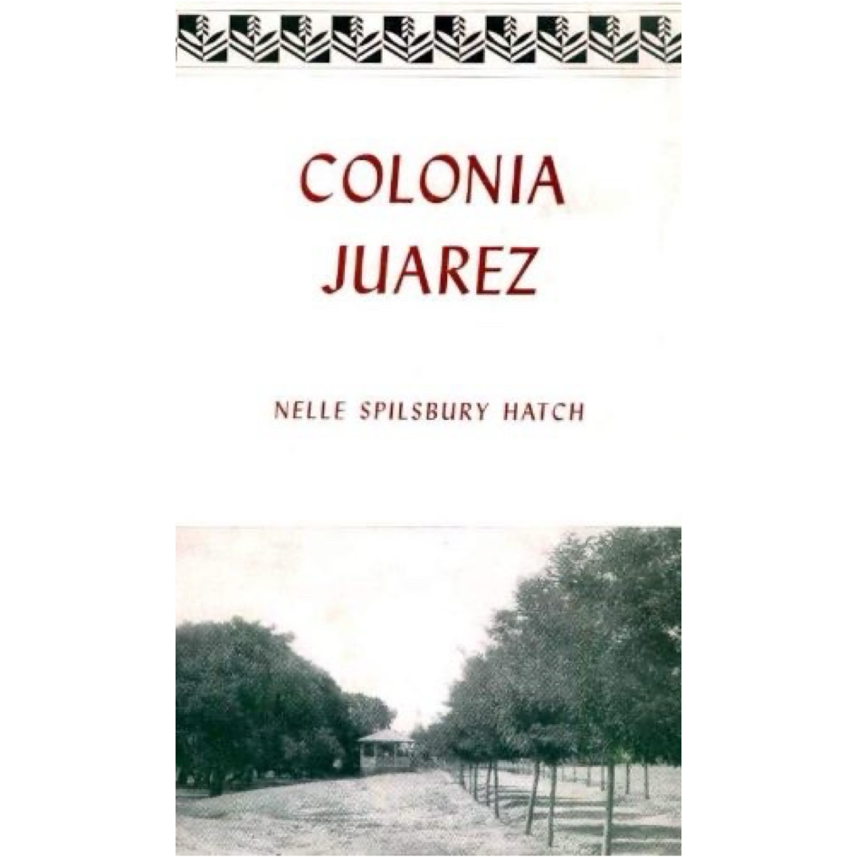 Colonia Juarez, , large image number 0