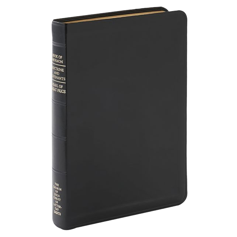 Triple Combination Simulated Leather, Regular Indexed, Black