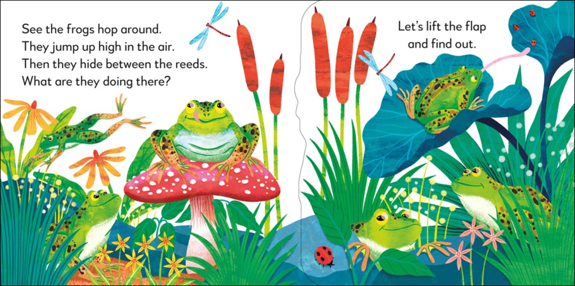 Pop-Up Peekaboo! Frog, , large