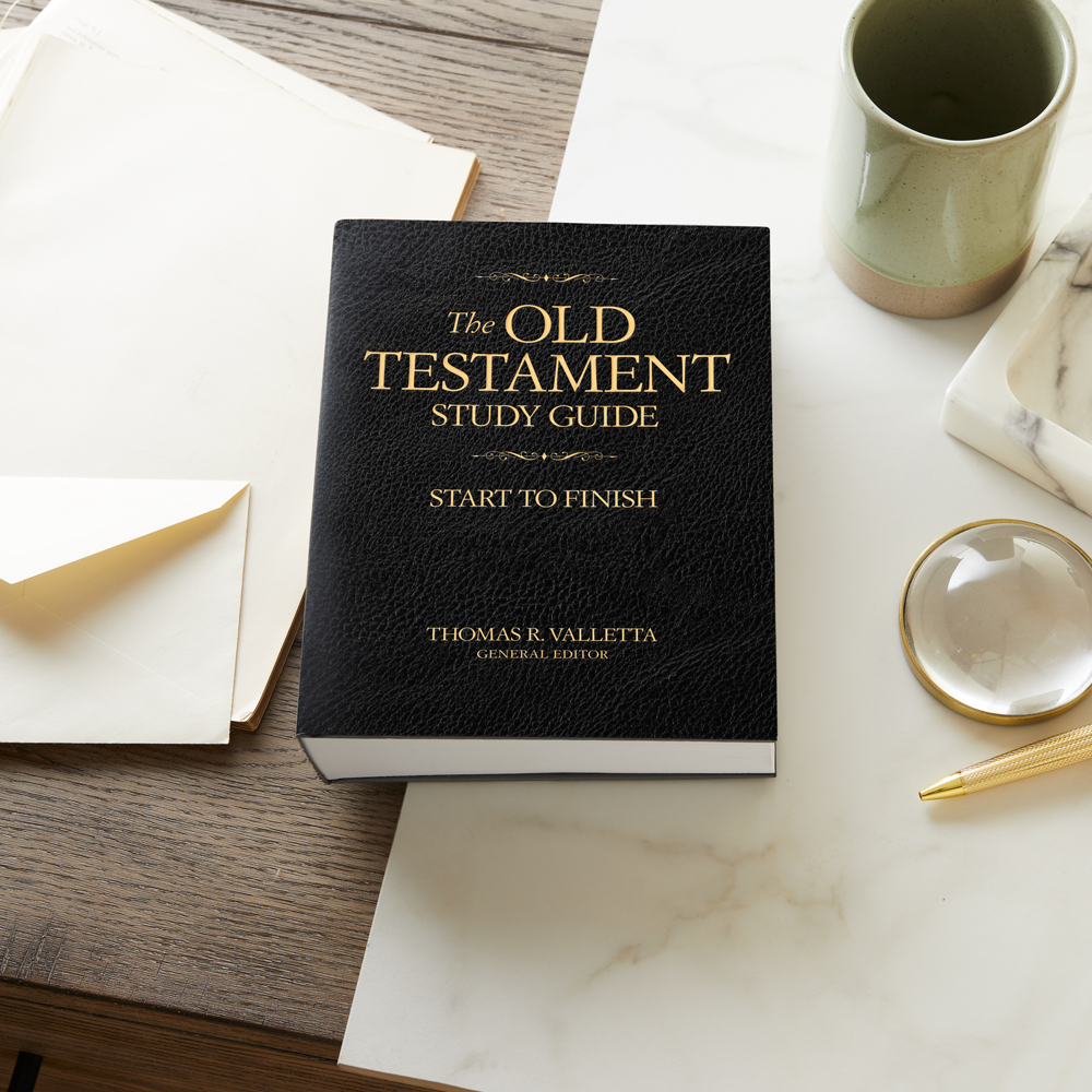 Old Testament Study Guide, , large image number 9