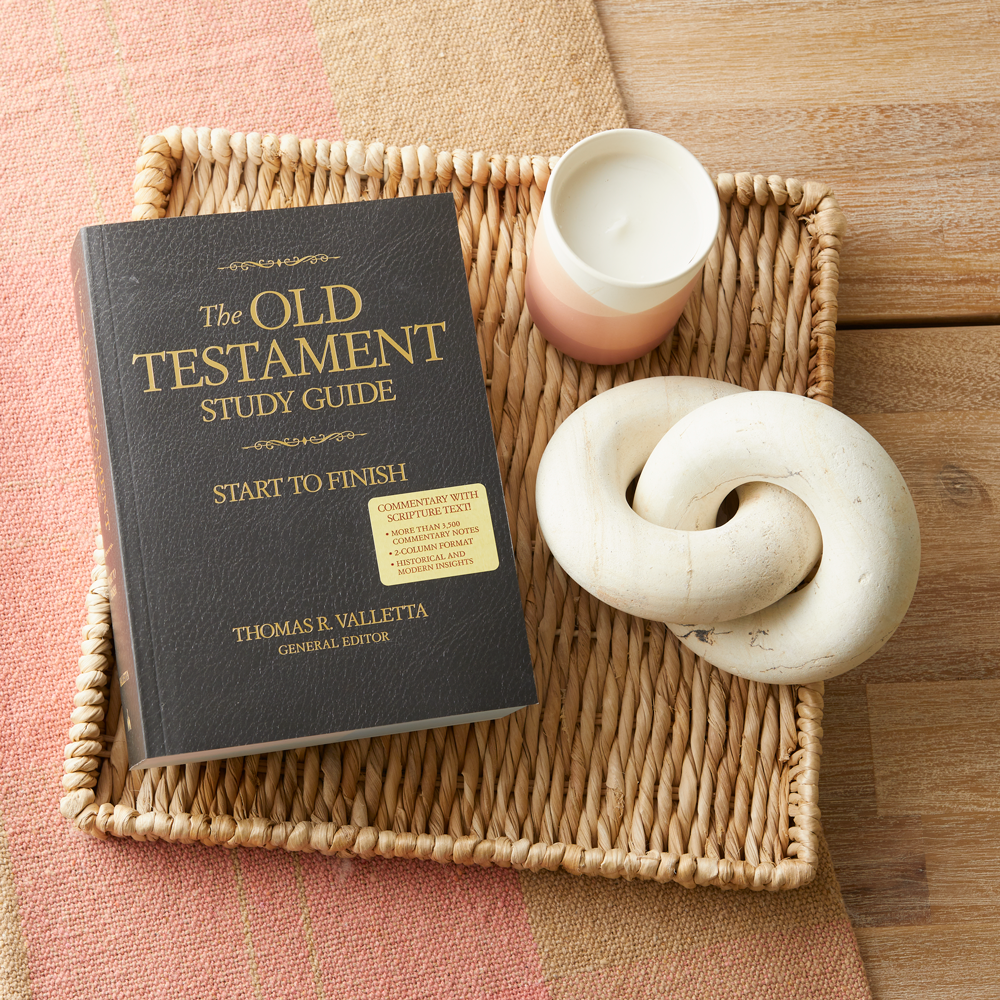 Old Testament Study Guide, , large image number 8