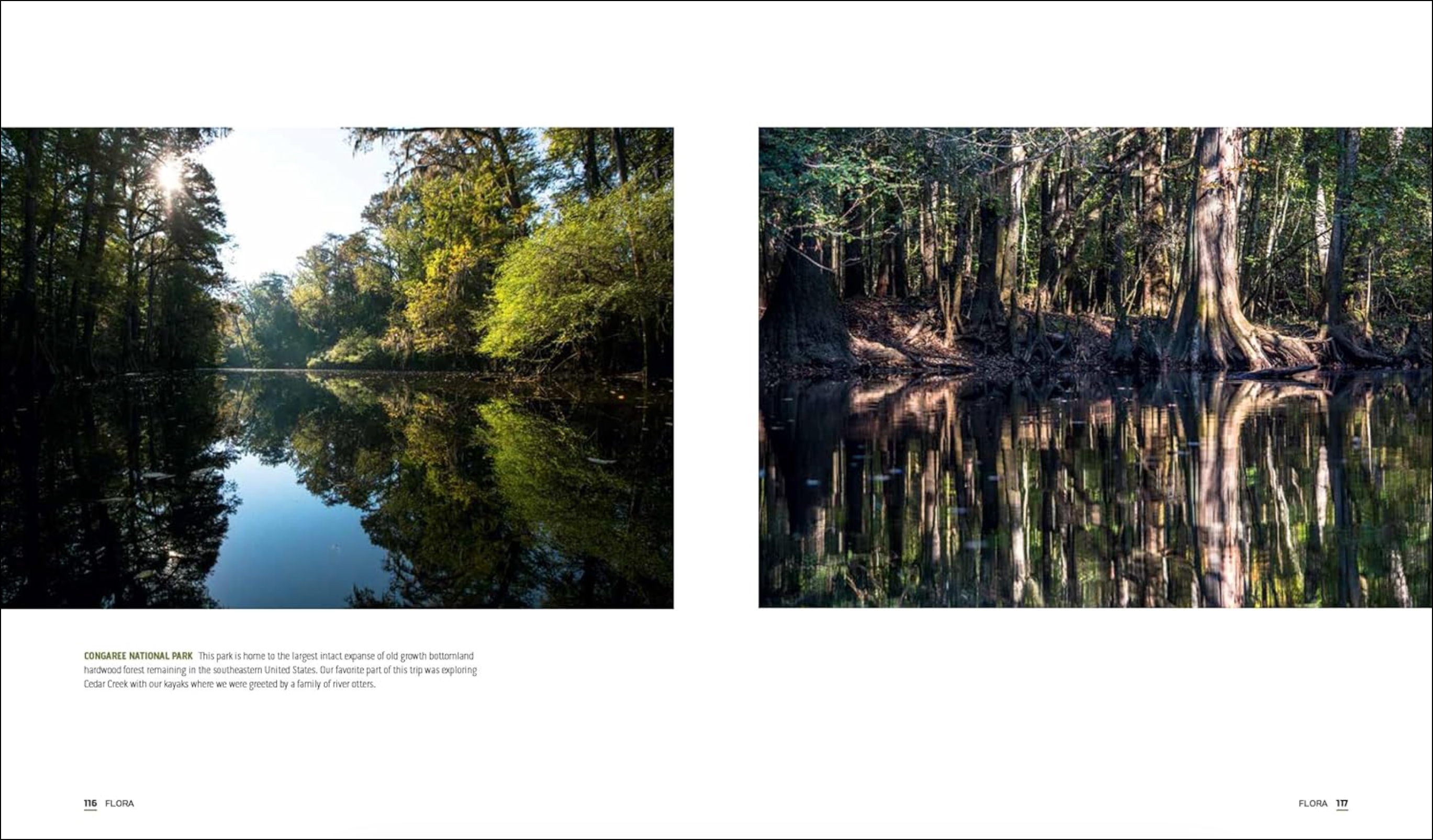 Parklands, , large image number 2