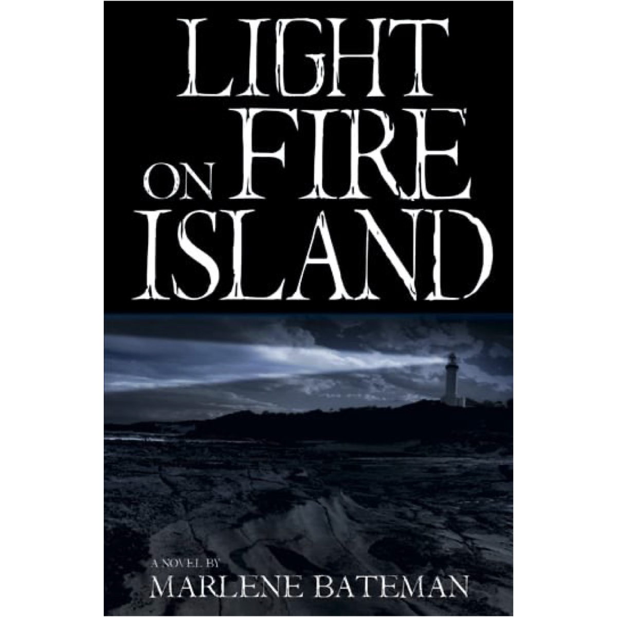 Light on Fire Island, , large image number 0