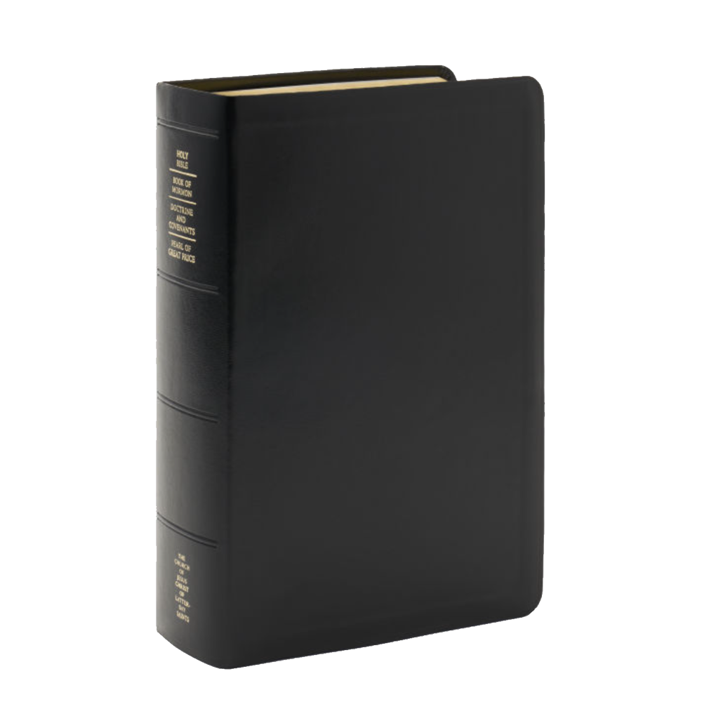 Quad Combination Simulated Leather, Large, Indexed Black