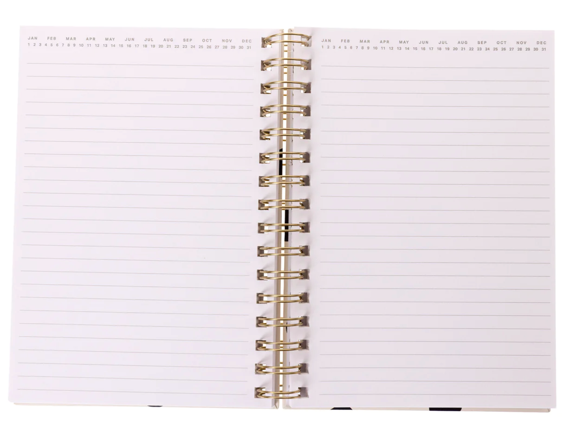 Today is the Day Journal, , large