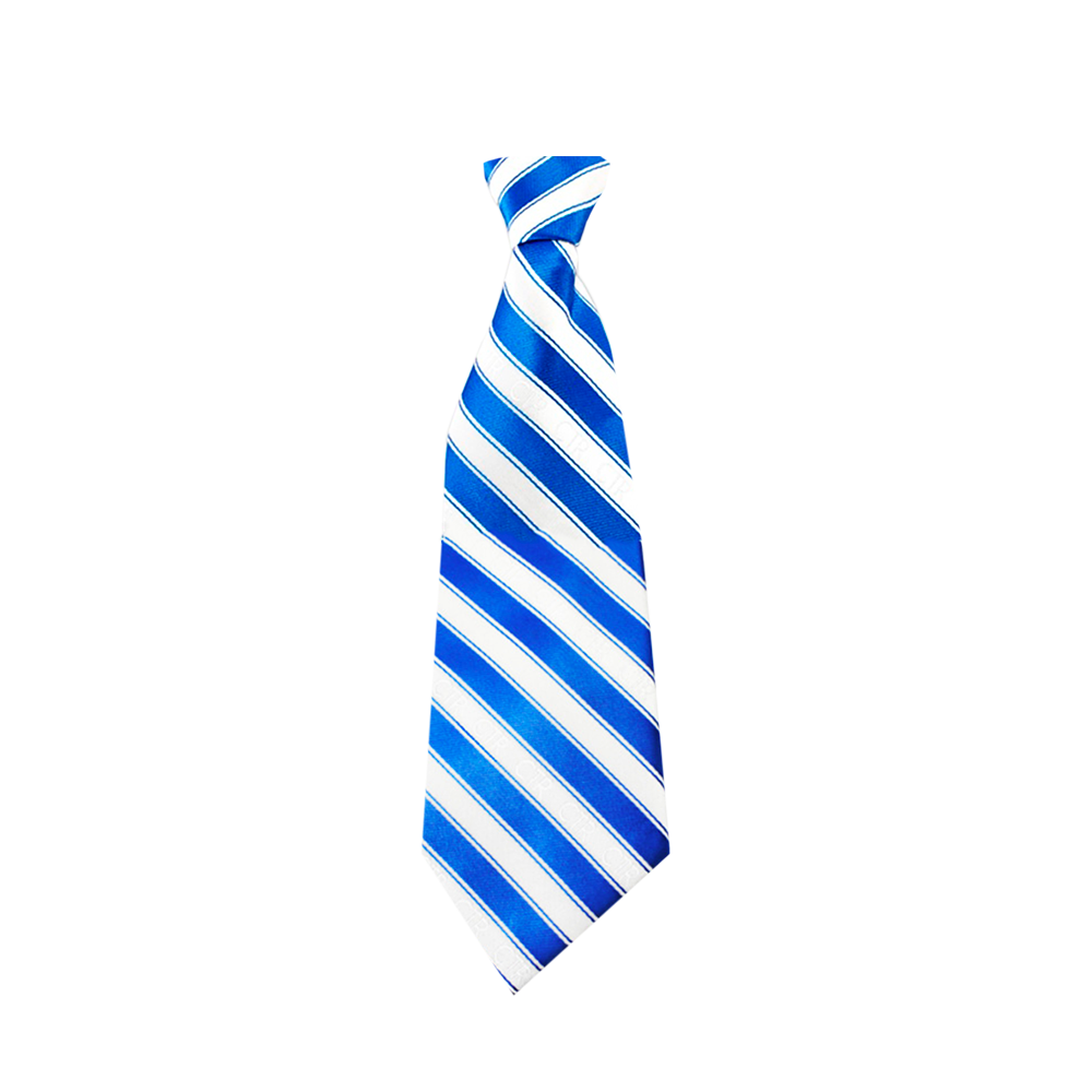 Boys' Blue/White CTR Necktie