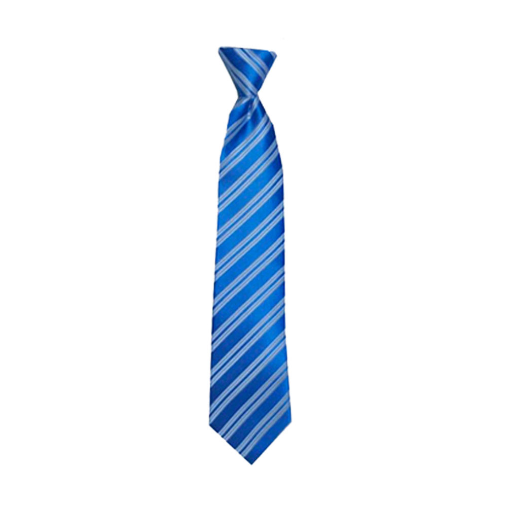 Boys' Blue/White Stripe Zipper Necktie