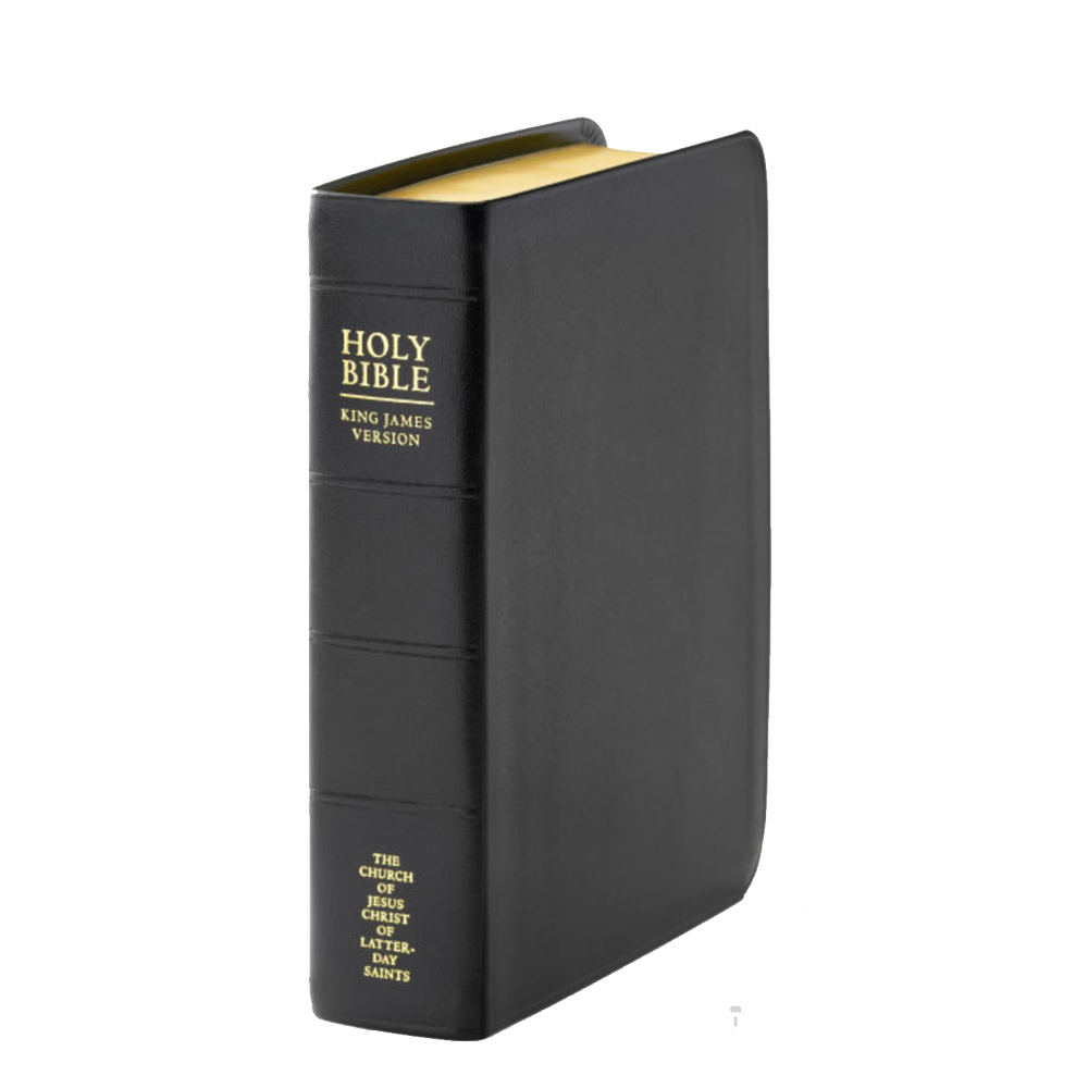Holy Bible, Genuine Leather, Regular, Indexed
