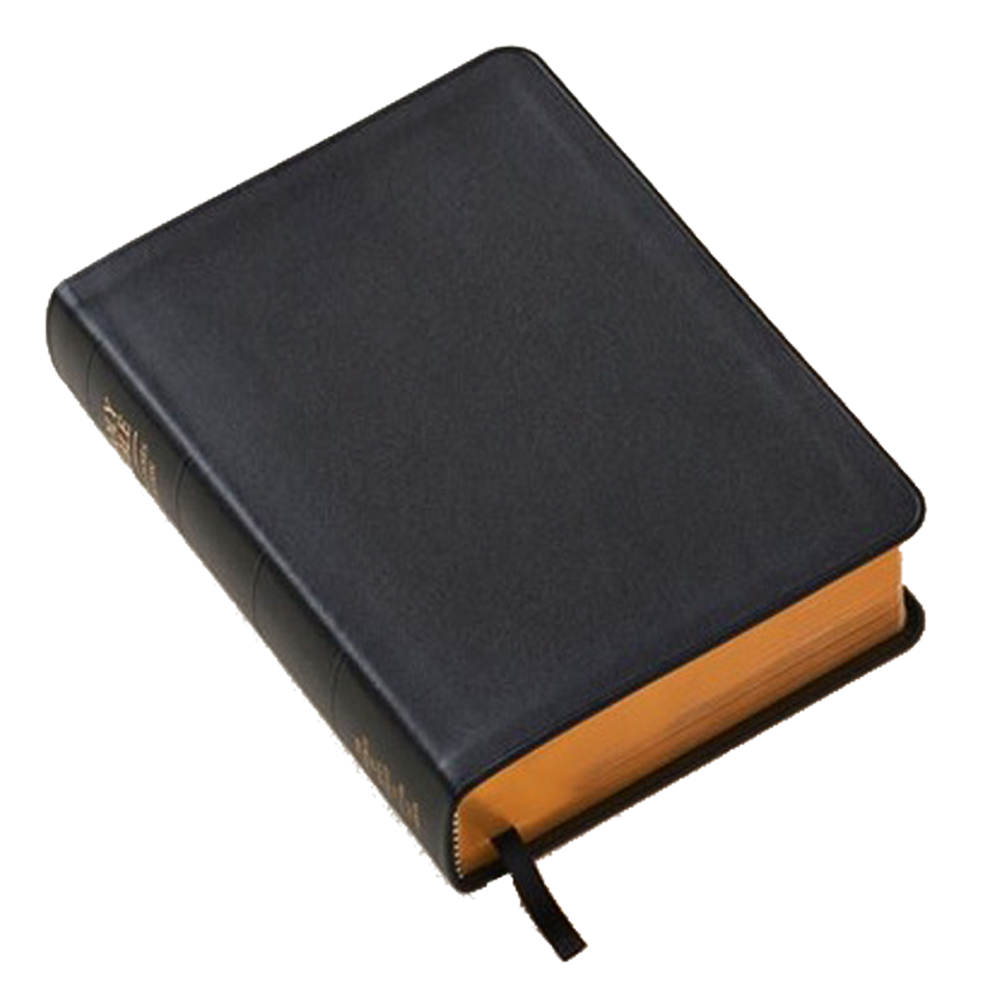Holy Bible, Genuine Leather, Regular, Indexed, , large