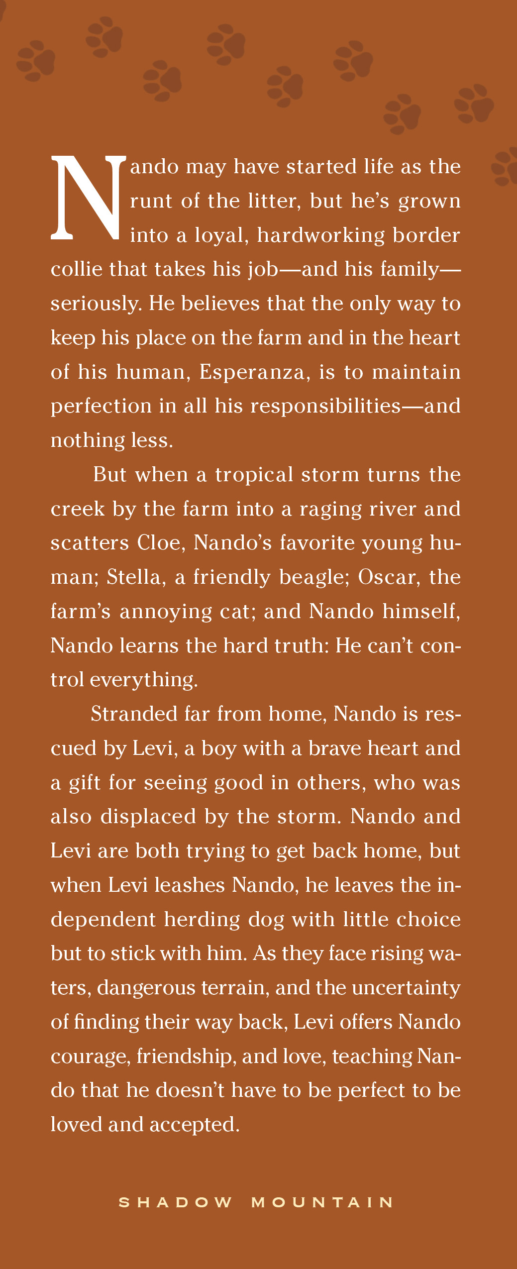 Nando, , large image number 2