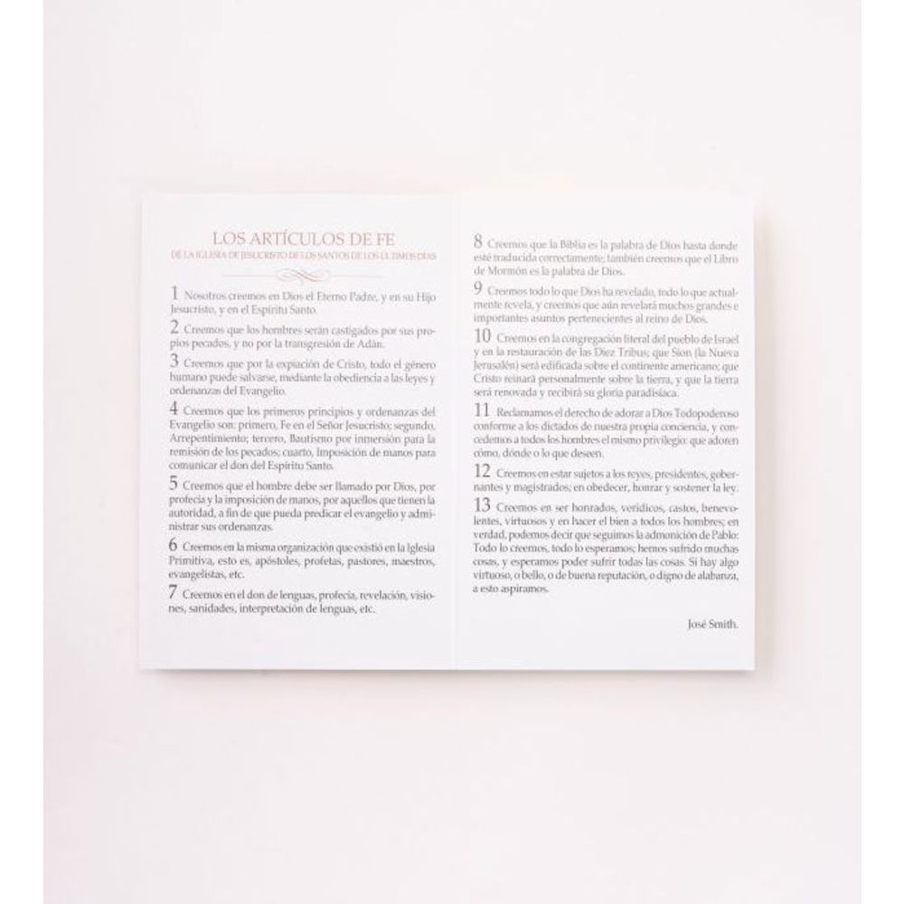 Articles of Faith Bifold Cards (Spanish), , large image number 3