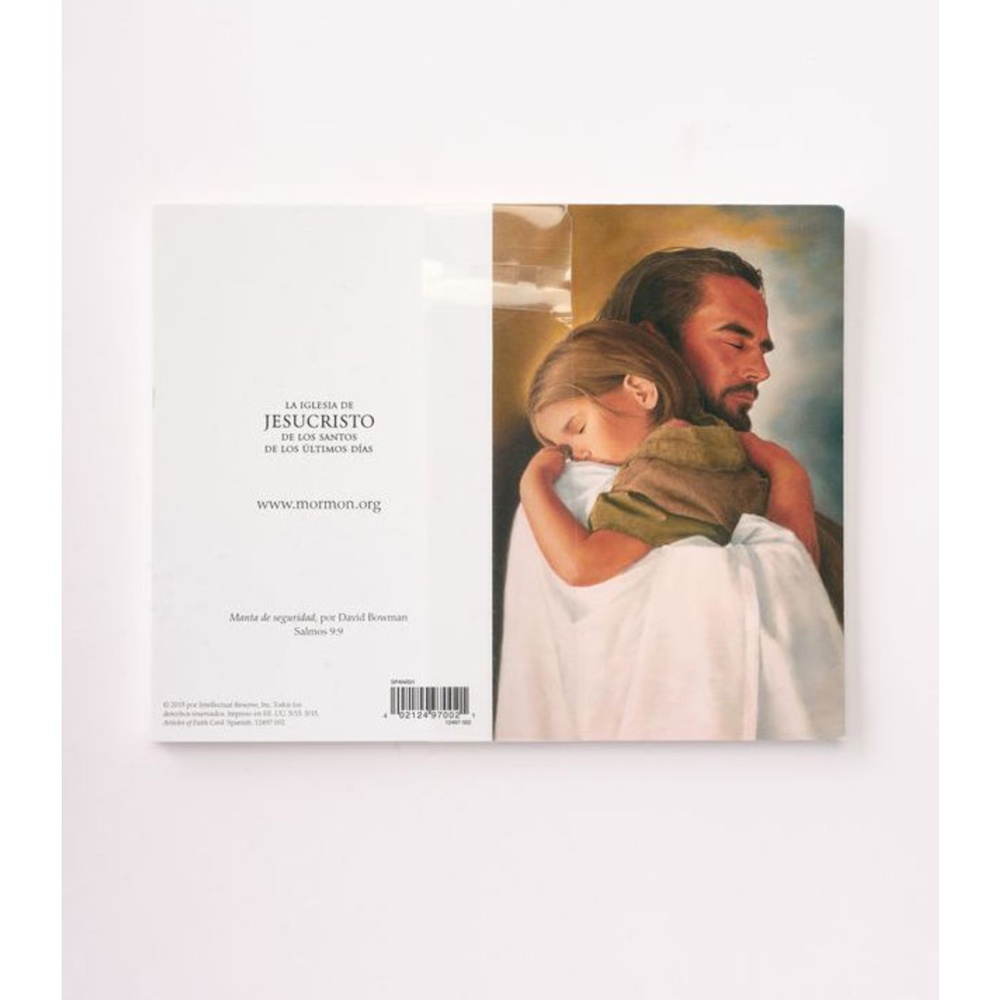 Articles of Faith Bifold Cards (Spanish), , large image number 2