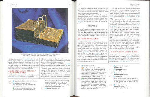 The Book of Mormon for Latter-day Saint Families, , large image number 3