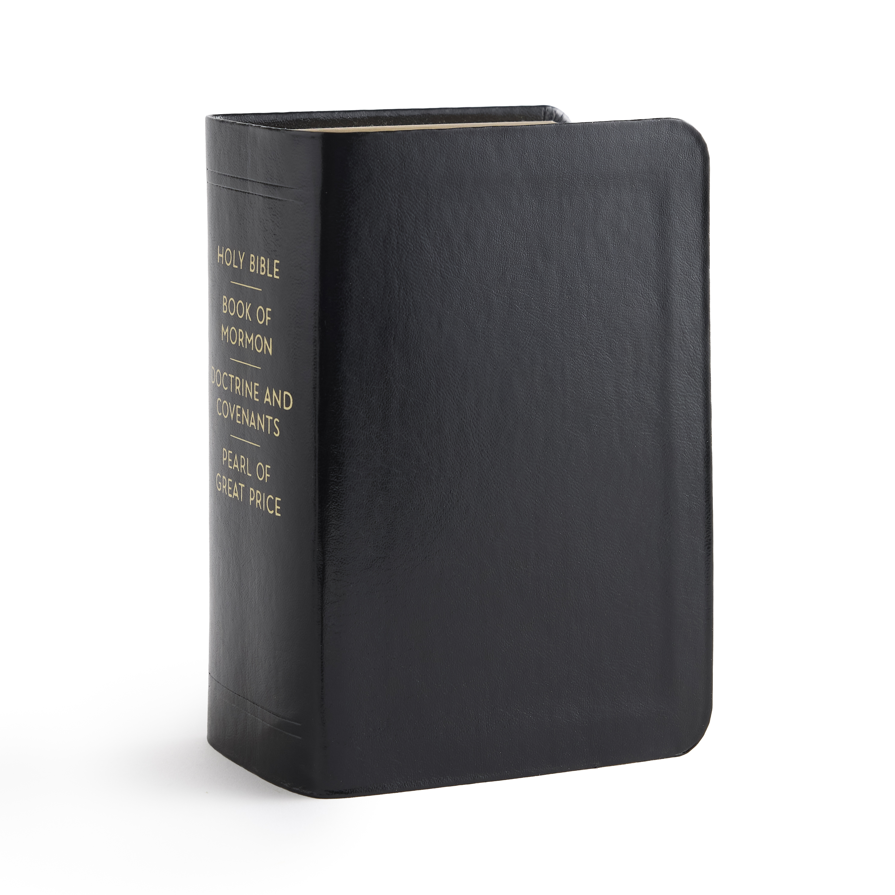Quad Combination Simulated Leather, Compact (Color Options), , large image number 10