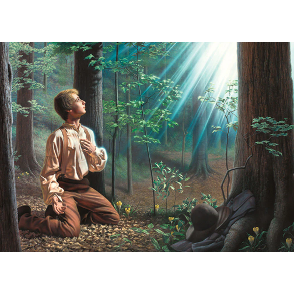 Let Him Ask in Faith 3x4 Print