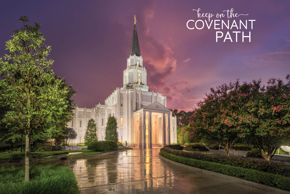 Houston Texas Temple Repositionable Poster