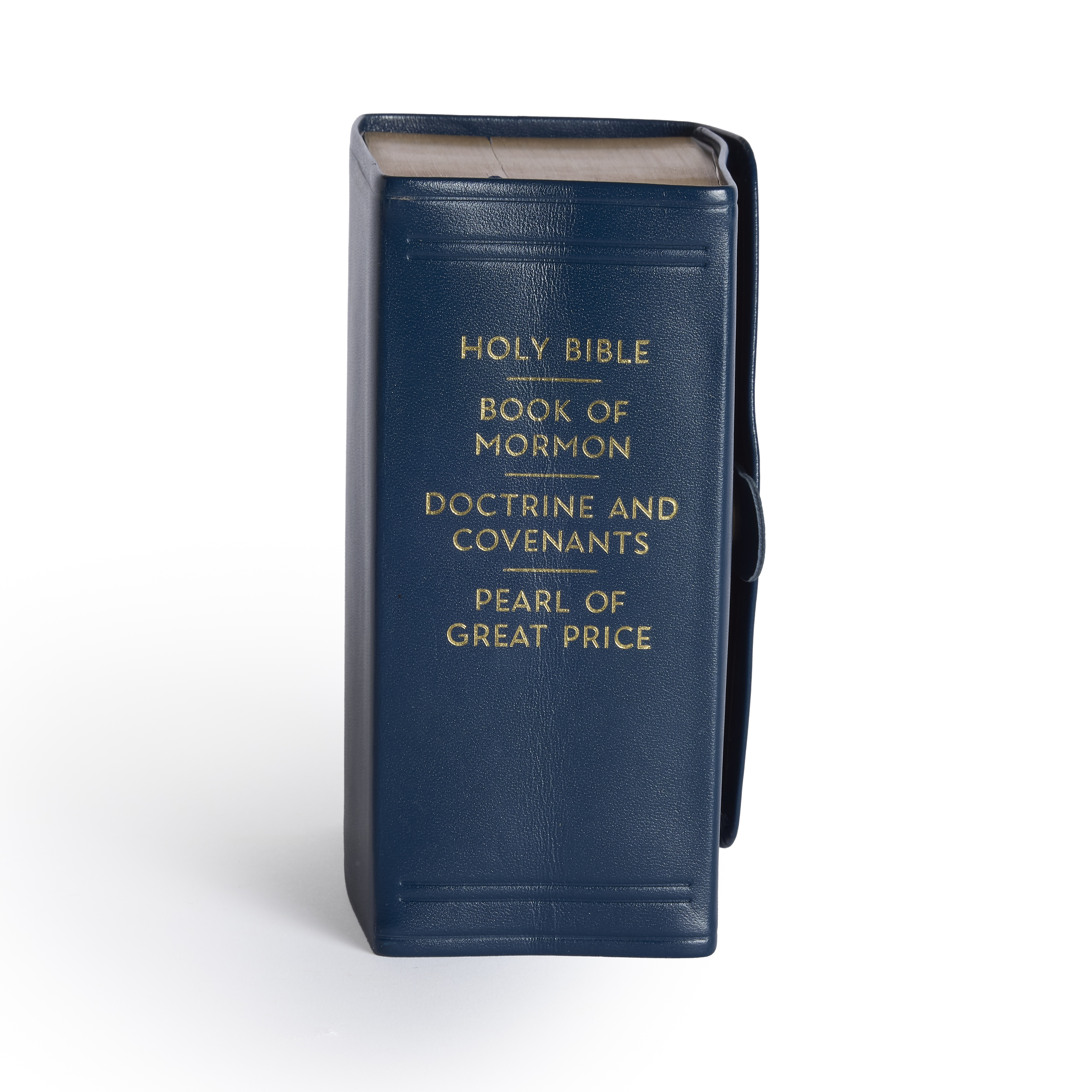 Genuine Leather Snap Quad Combination, Compact (Color Options), , large image number 5