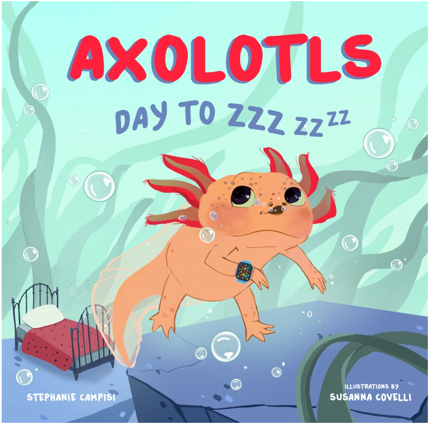 Day to ZZZ