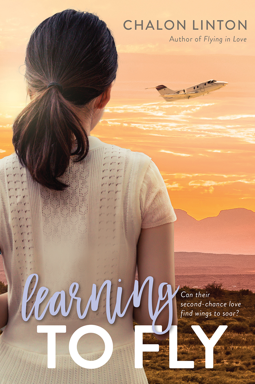 Learning to Fly (Air Force Romance, Vol. 3)