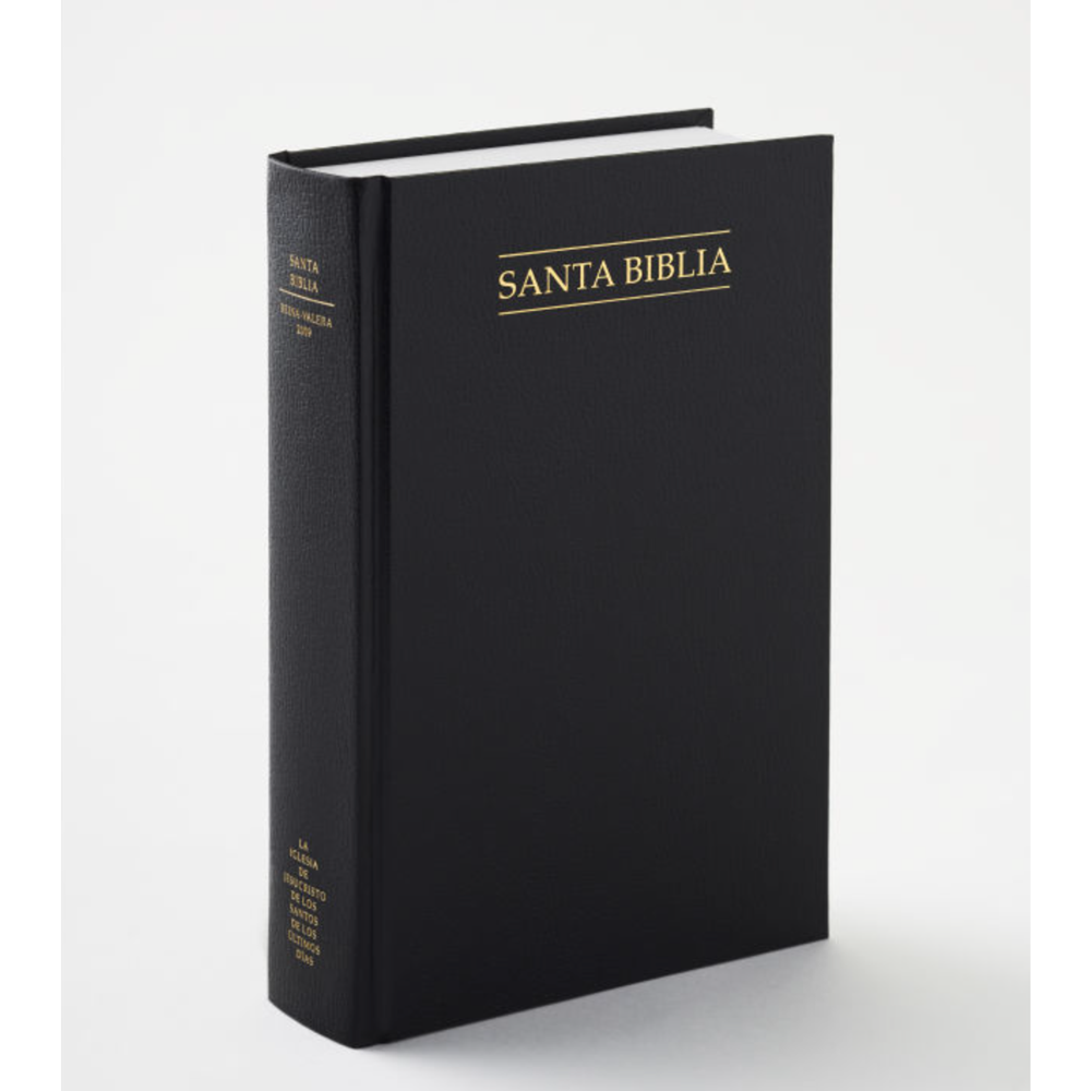 Spanish Holy Bible, Economy Hardcover, Unindexed