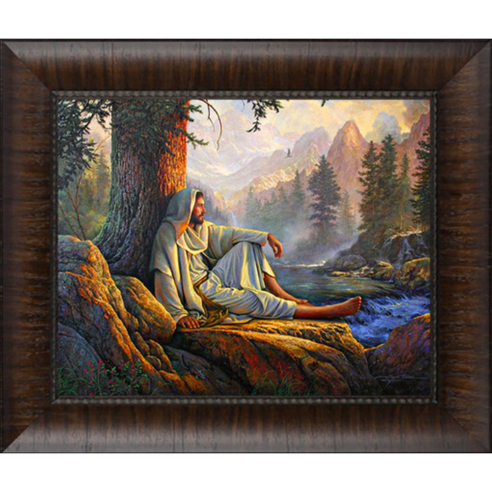 Awesome Wonder (21x26 Framed Art)