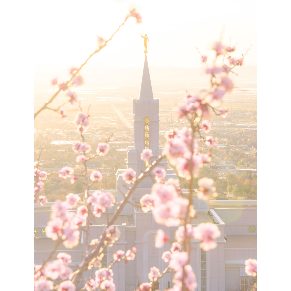 Bountiful Utah Temple - Spring Blossoms Print