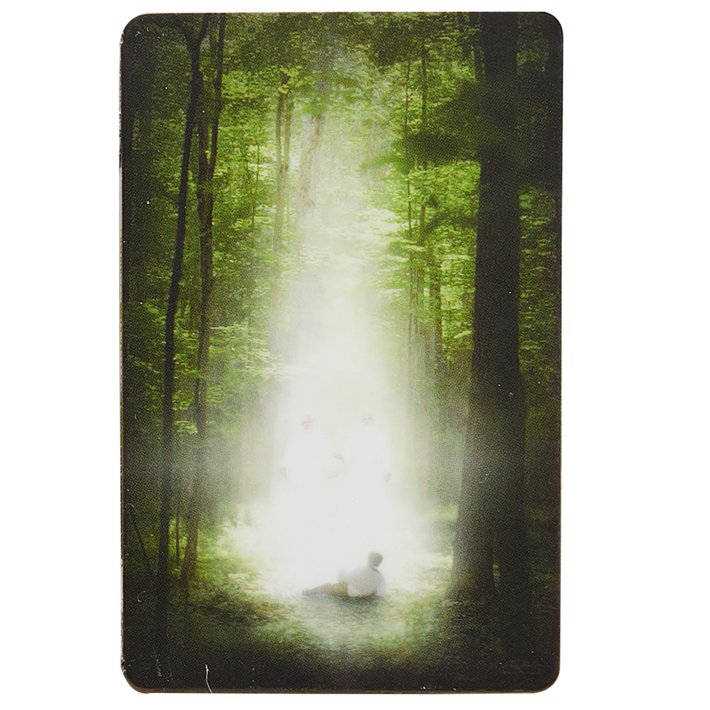Sacred Grove Recommend Holder