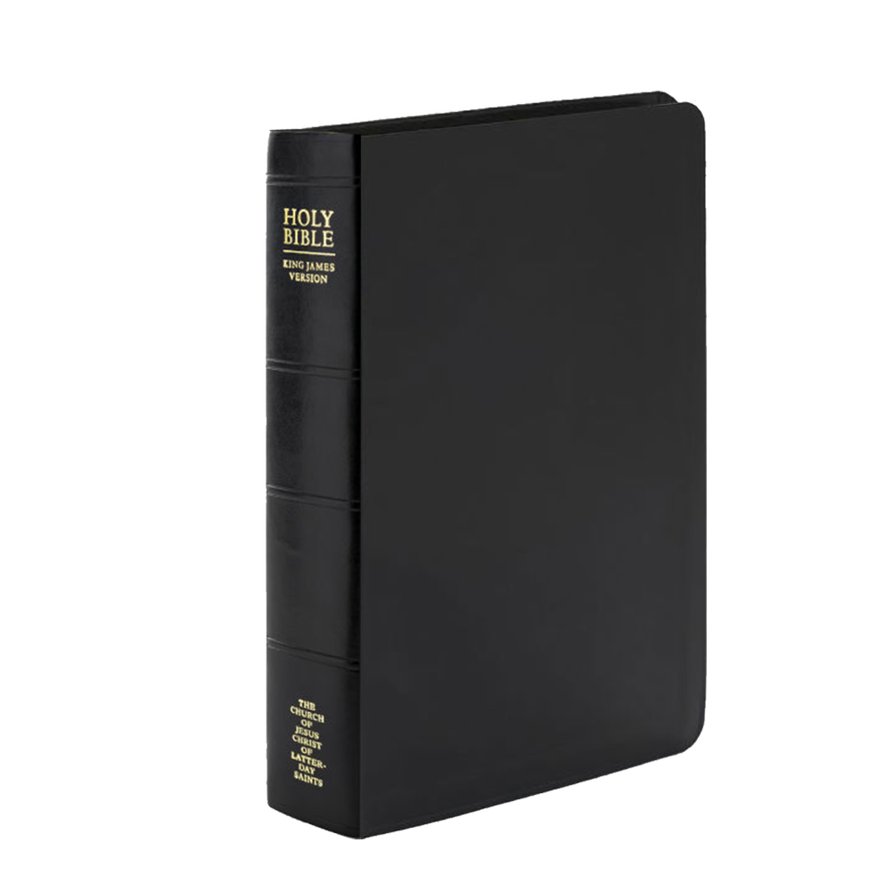 Holy Bible, Genuine Leather, Large, Indexed
