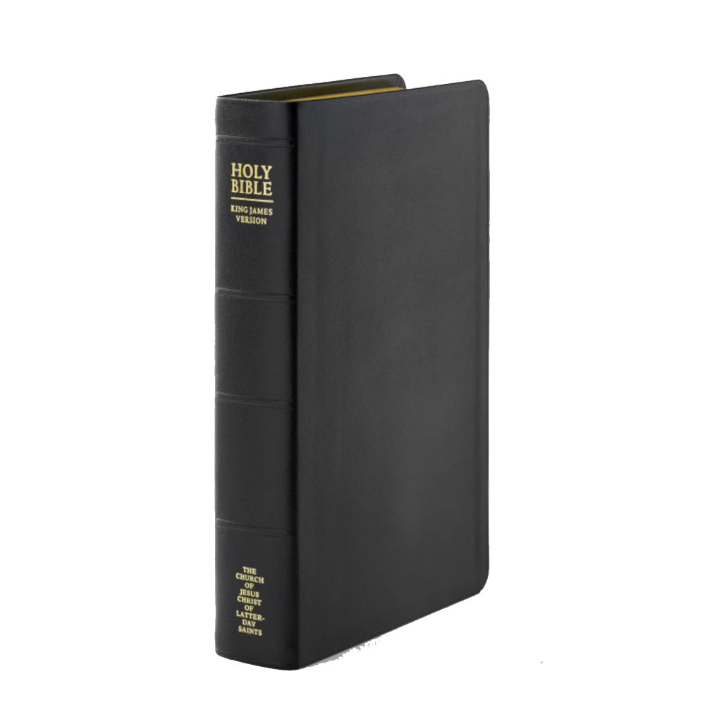 Holy Bible, Genuine Leather, Large, Indexed, , large