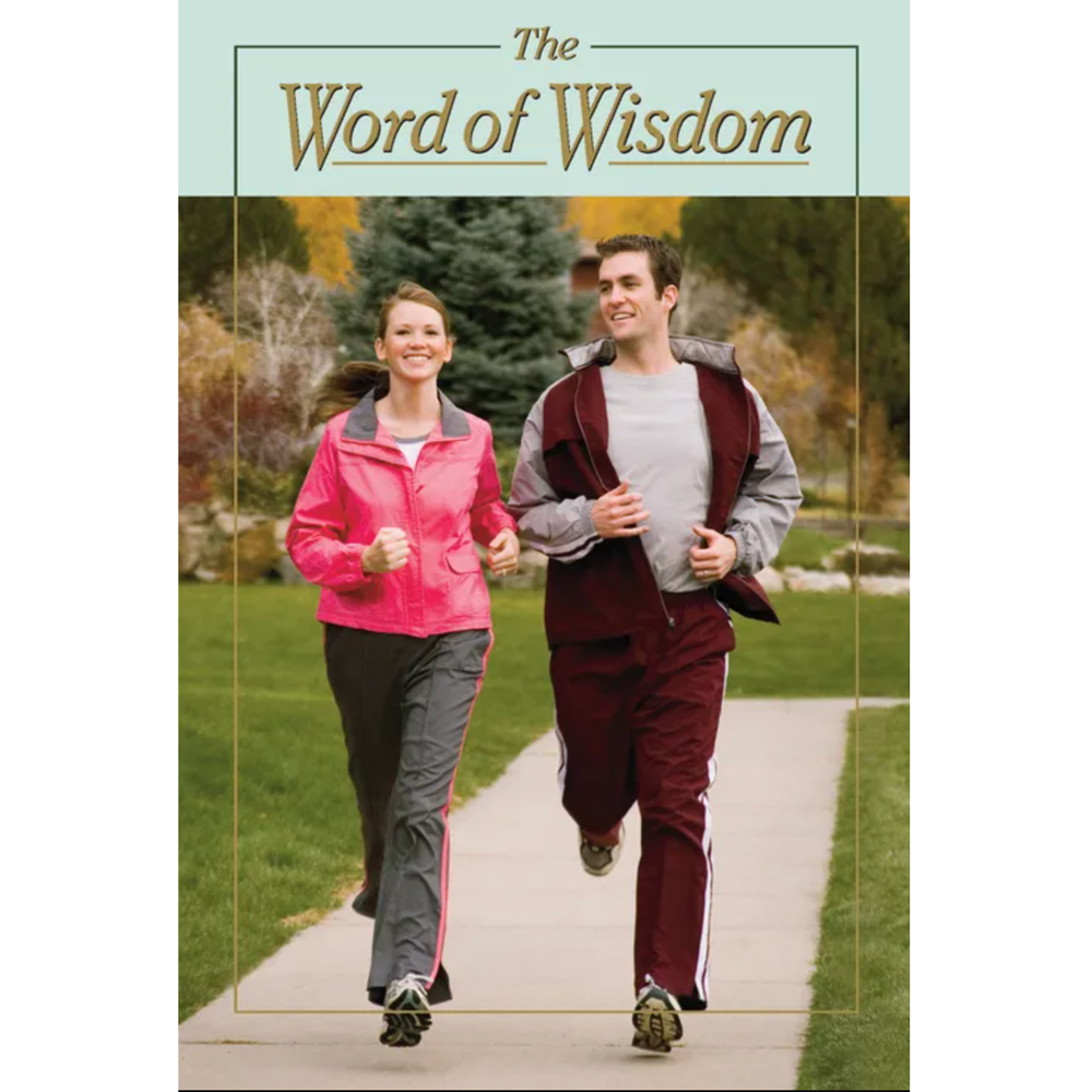Missionary Teaching Pamphlet Set, , large image number 8