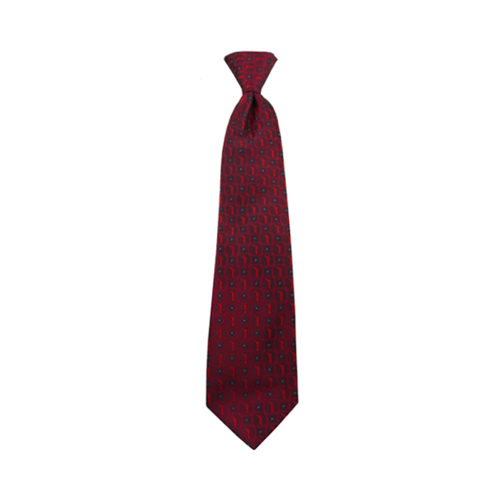 Boys' Burgundy Angel Moroni Zipper Necktie